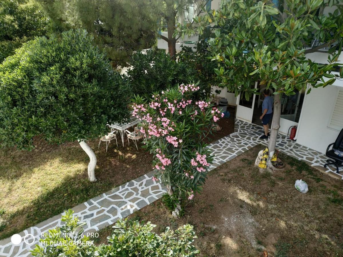 Muses Apartments Ερέτρια Εξωτερικό φωτογραφία
